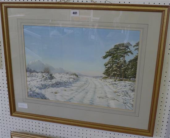 Jane Morgan, winter landscape, Ashdown forest